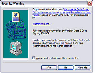 Macromedia flash version 11